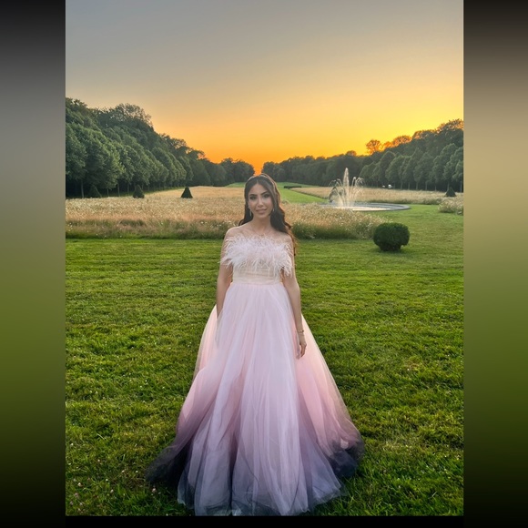 Mac Duggal Feather Ombré Tulle Gown - Picture 2 of 7